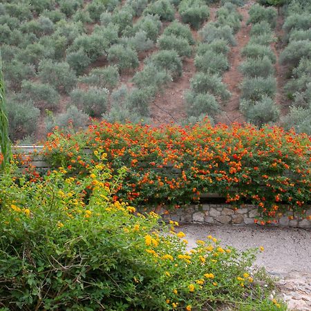 Physis Villas Chania Αγιά Εξωτερικό φωτογραφία