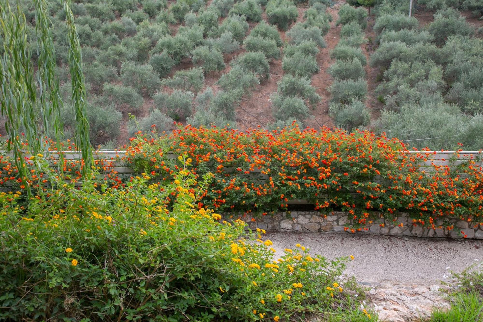 Physis Villas Chania Αγιά Εξωτερικό φωτογραφία