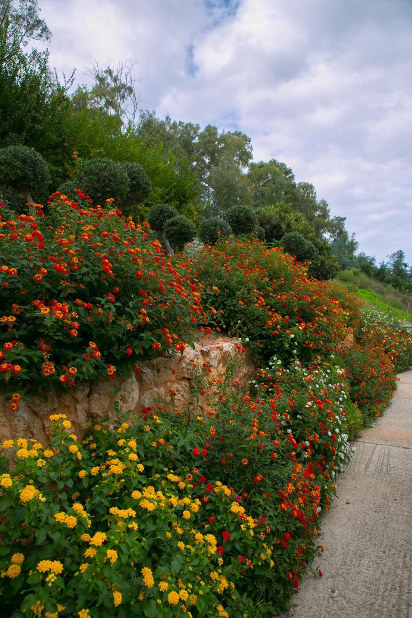 Physis Villas Chania Αγιά Εξωτερικό φωτογραφία