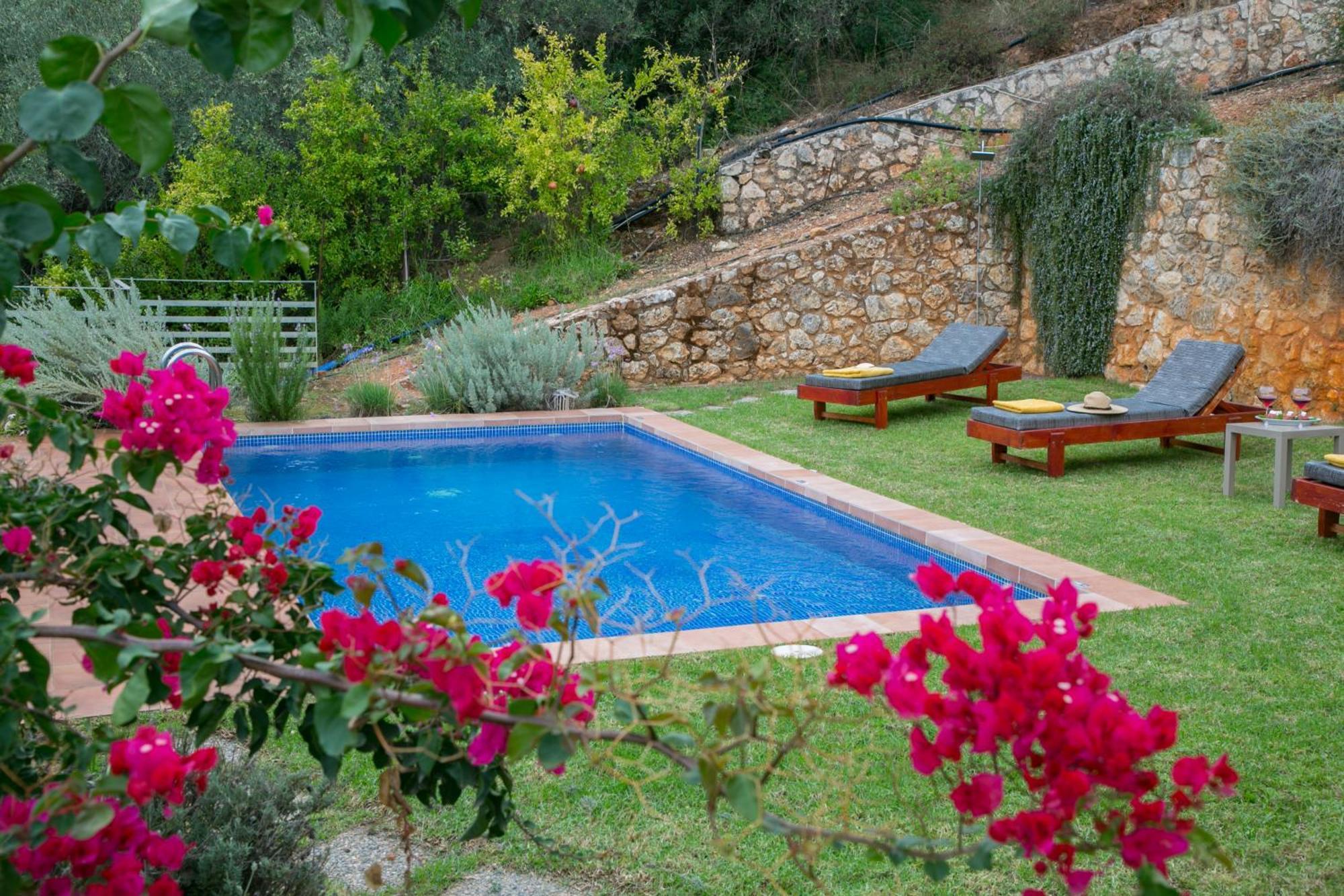 Physis Villas Chania Αγιά Εξωτερικό φωτογραφία