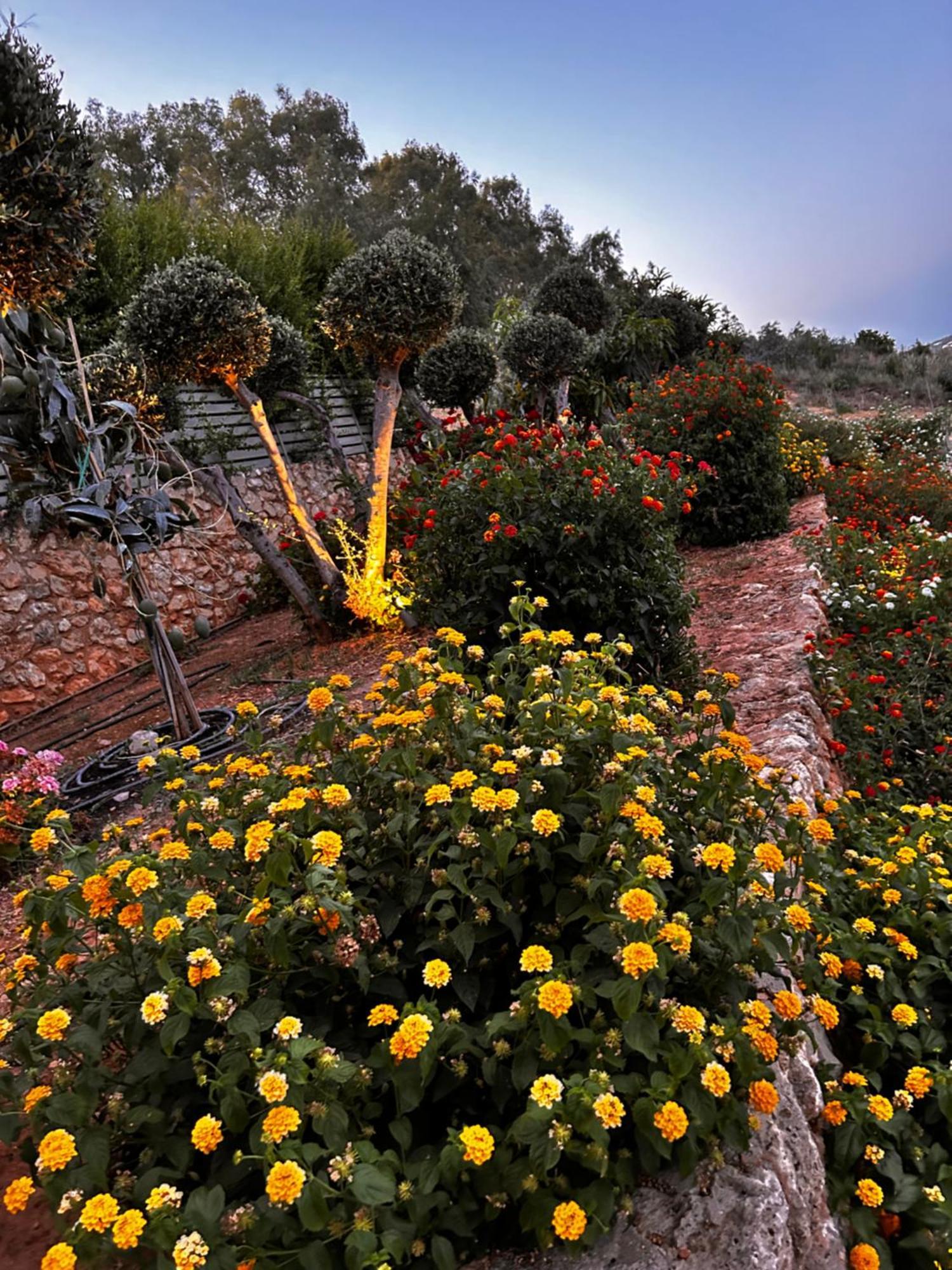 Physis Villas Chania Αγιά Εξωτερικό φωτογραφία